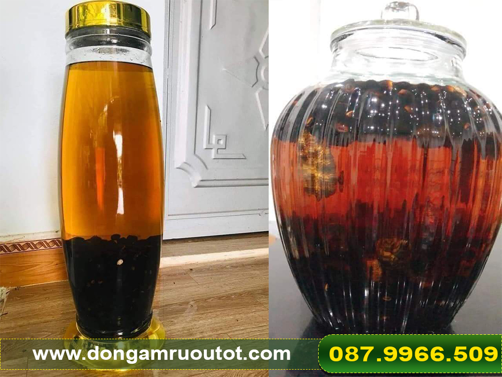 Chuối hột cô đơn Ninh Thuận
