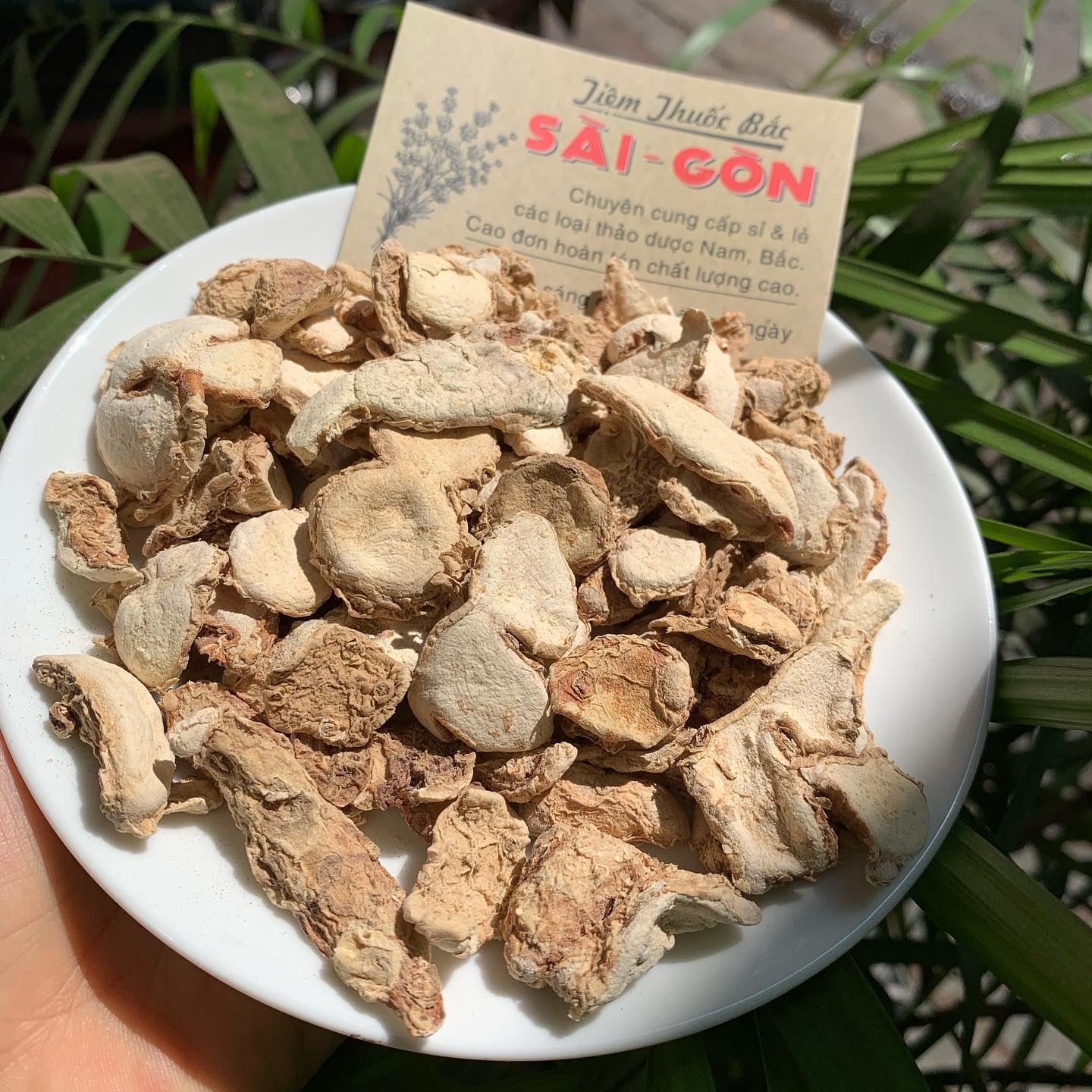 [HCM]TAM NẠI 100GRAM