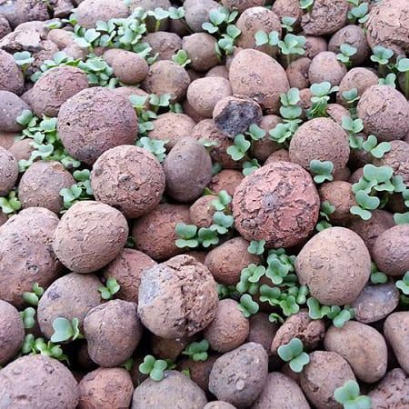 1kg Đất nung (sỏi nhẹ) trồng cây, hoa kiểng