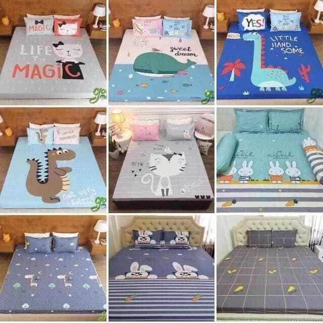 GA CHỐNG THẤM COTTON CAO CẤP 1,6x2M