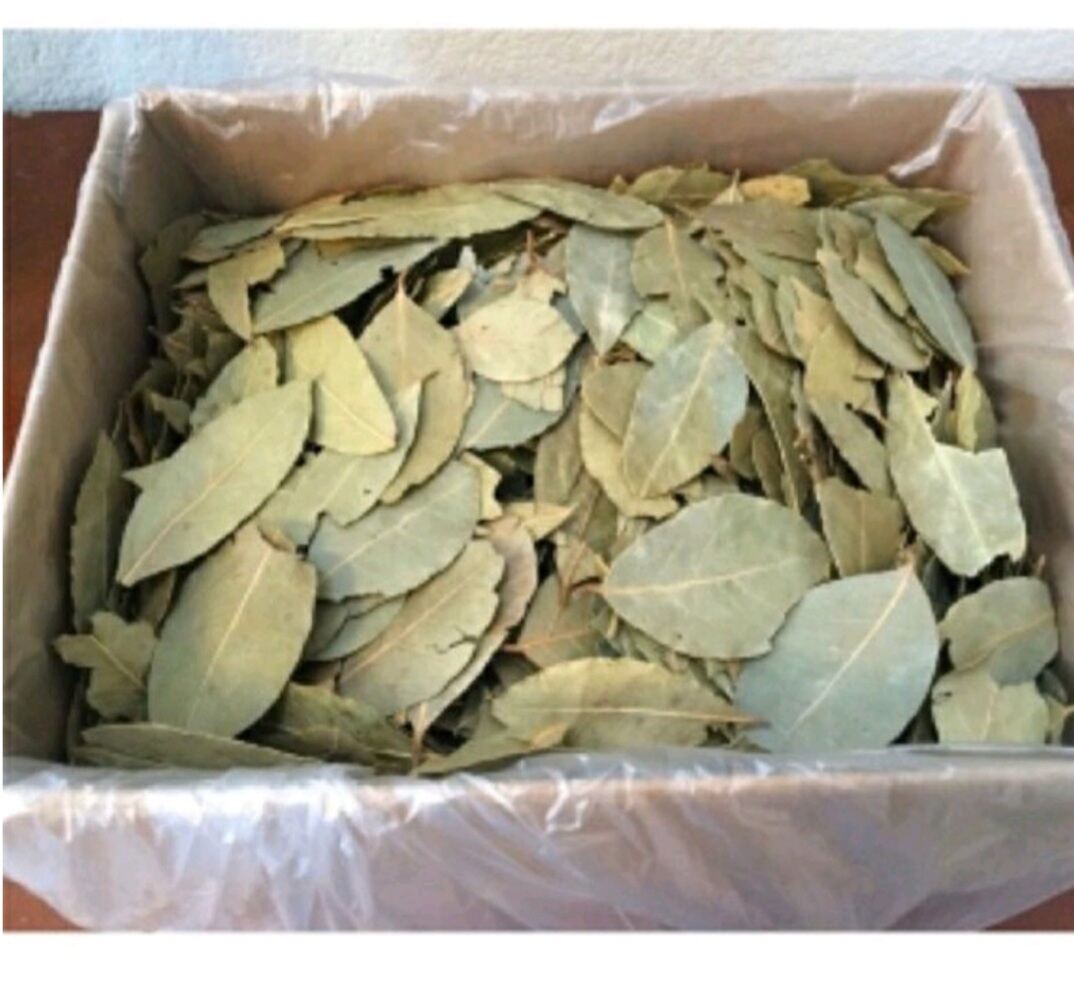 100g LÁ BAY,LÁ NGUYỆT QUẾ TRÙNG KHÁNH