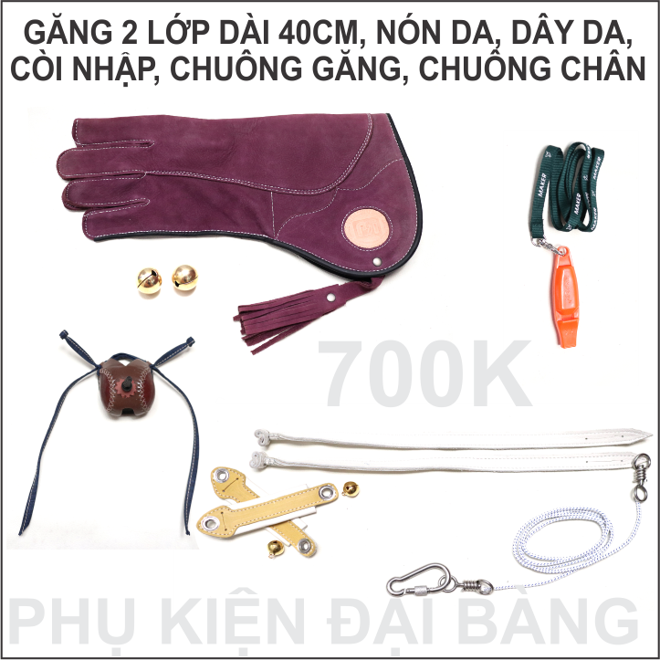[HCM]PHỤ KIỆN CHIM ĐẠI BÀNG NÚI
