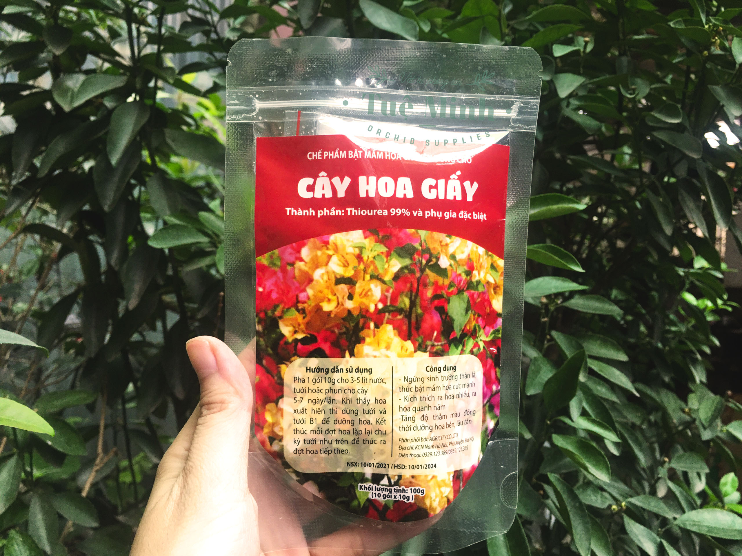 Phân bón kích thích ra hoa cho cây hoa giấy