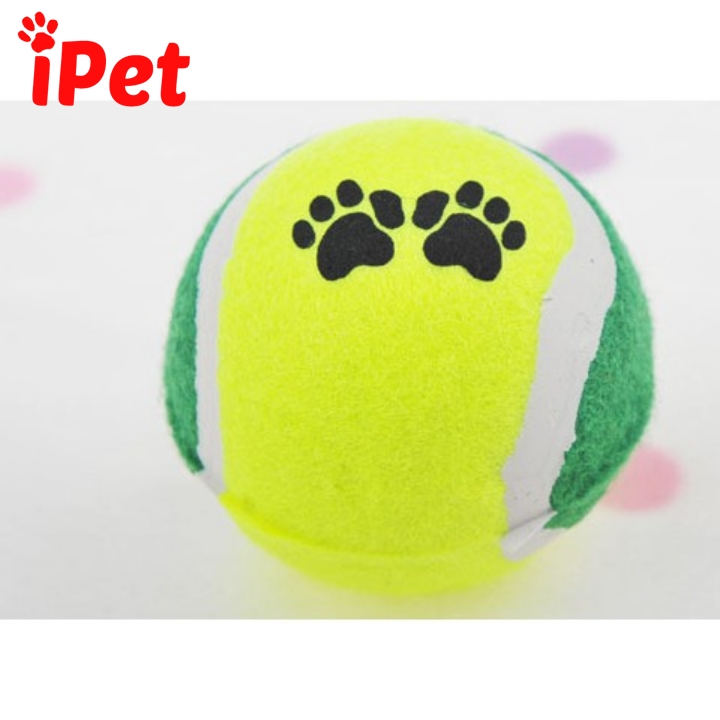 Bóng Tennis Chân Chó