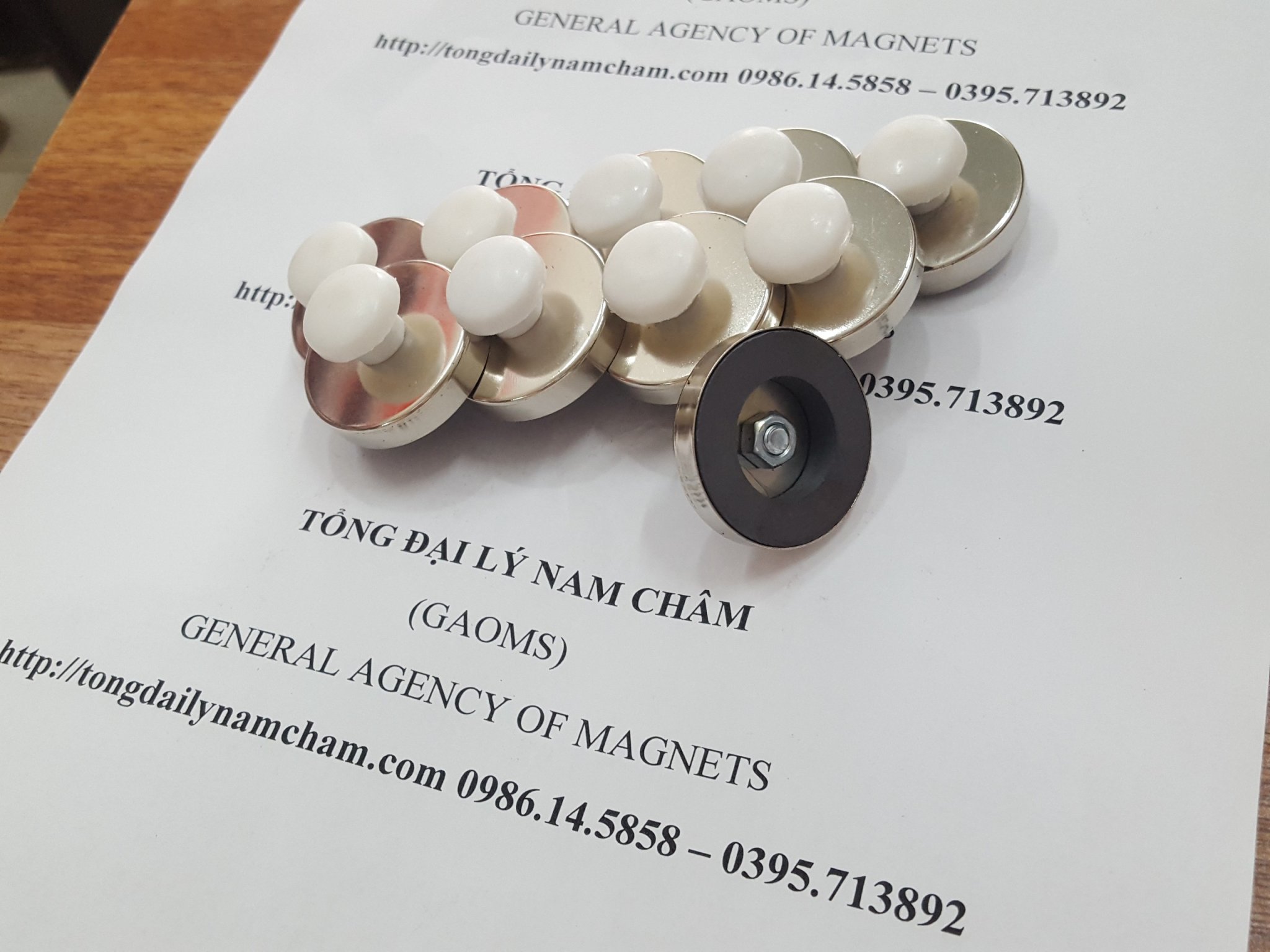 Nam châm đính bảng D32, có núm trắng- 10 cái