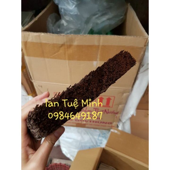Bảng dớn trồng lan size 10x20x3 cm