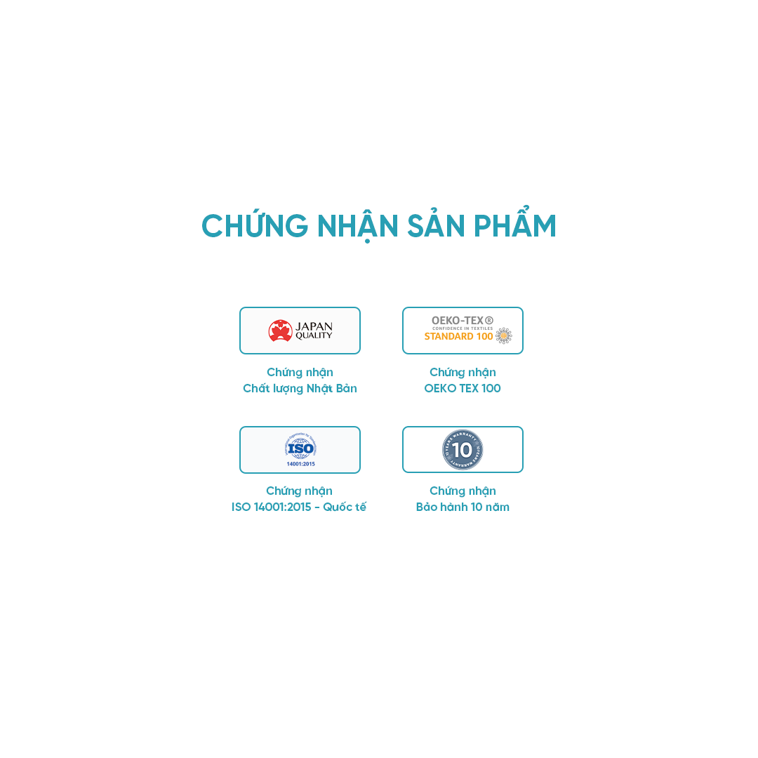 [TRẢ GÓP 0%] Nệm Foam Inoac Aeroflow Fit Plus [FREESHIP + TRẢ GÓP 0Đ]