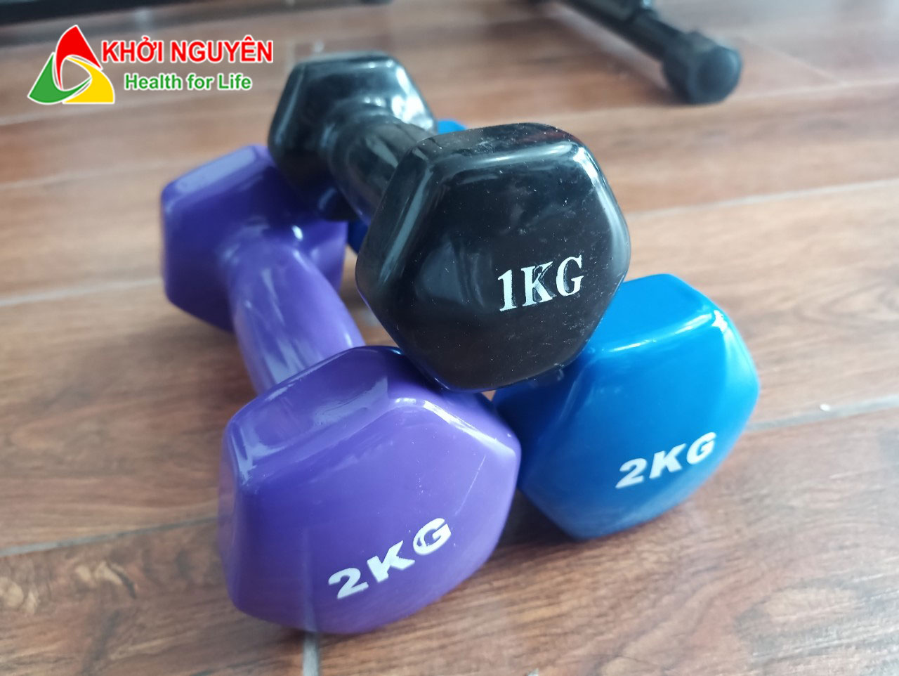 Tạ tay bọc cao su cao cấp loại 1kg, 2kg,3kg, 4kg, 5kg