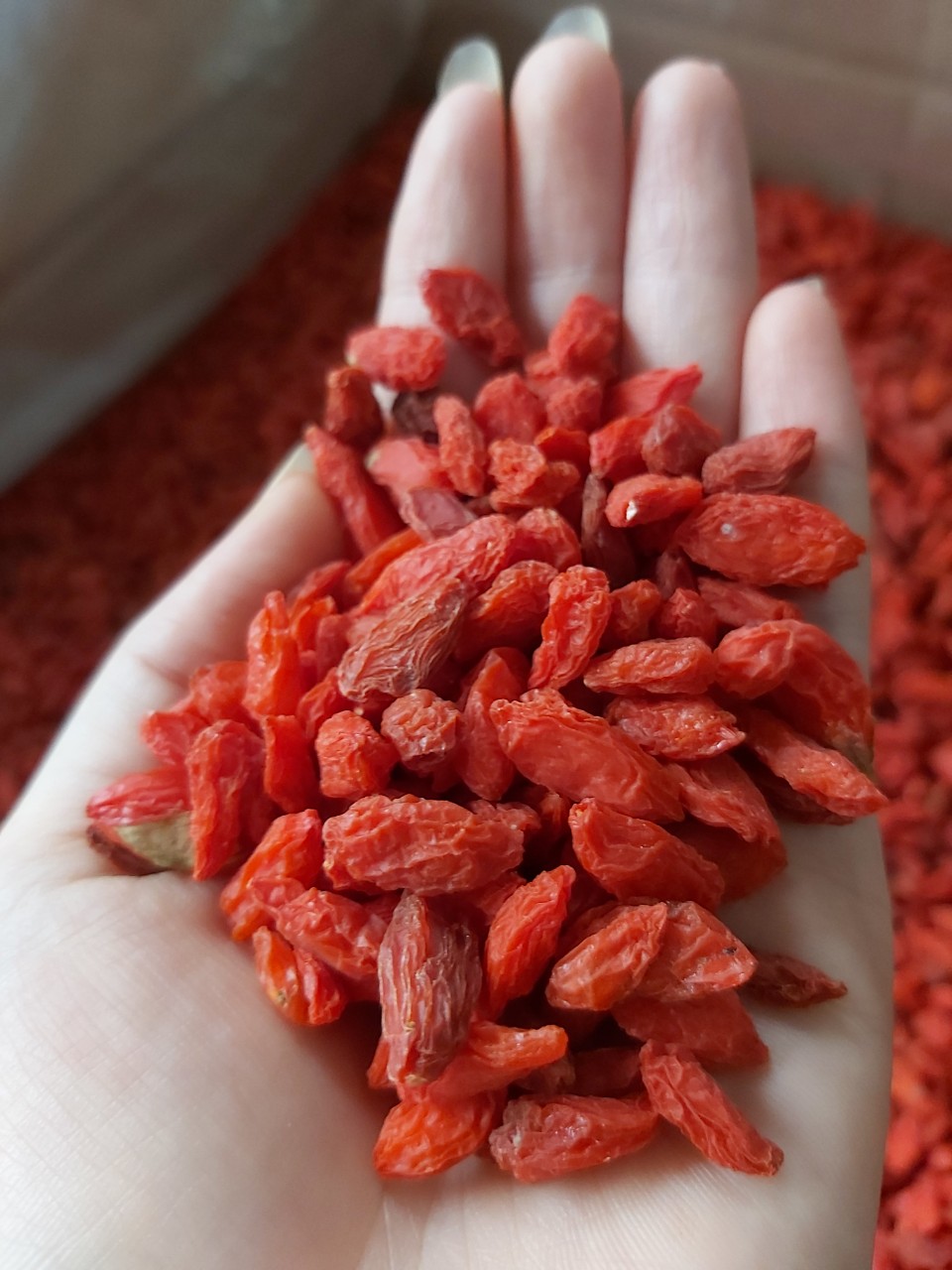 100gr hạt kỷ tử đỏ nguyên chất lương y