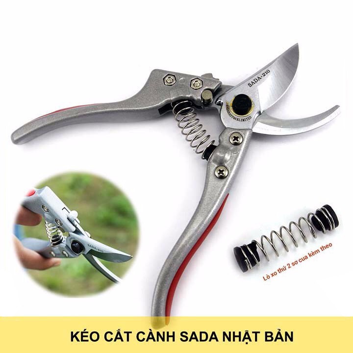 Lò xo kéo cắt cành sada 210