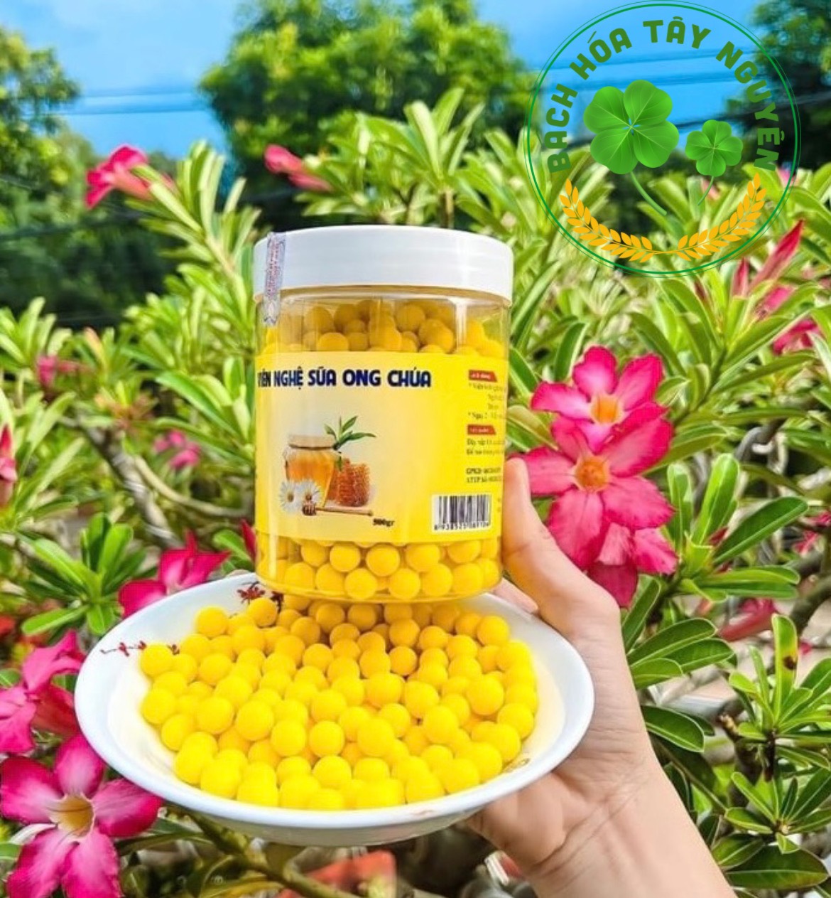 Viên Nghệ Sữa Ong Chúa Hộp 500gr
