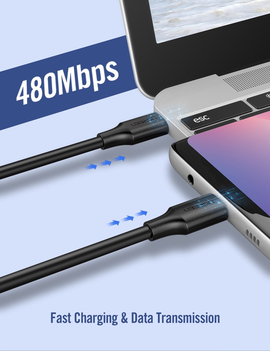 Cáp Sạc USB type C to type C Cao Cấp Ugreen 50997 US286