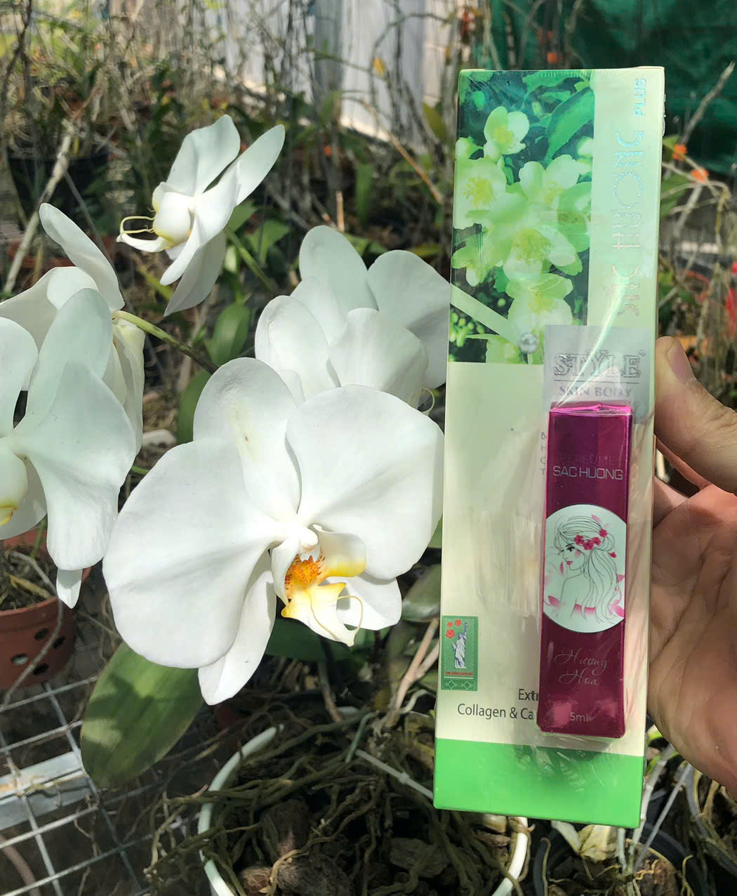 Kem Sắc Hương 250ml