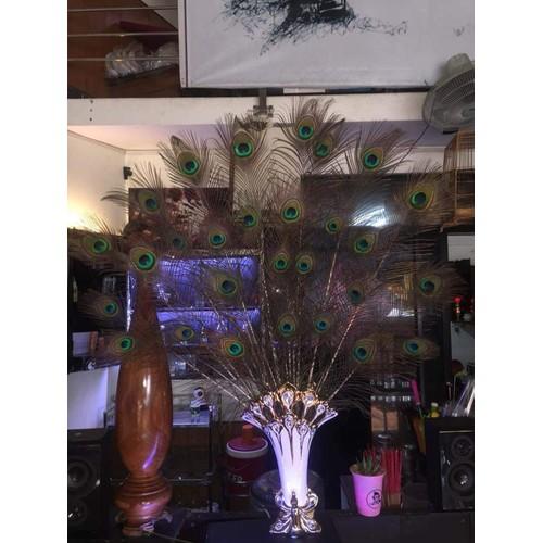 10 Lông công phong thủy Ấn Độ dài 1m loại đẹp