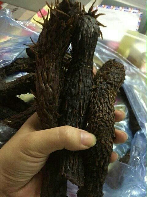 500g nhục thung dung