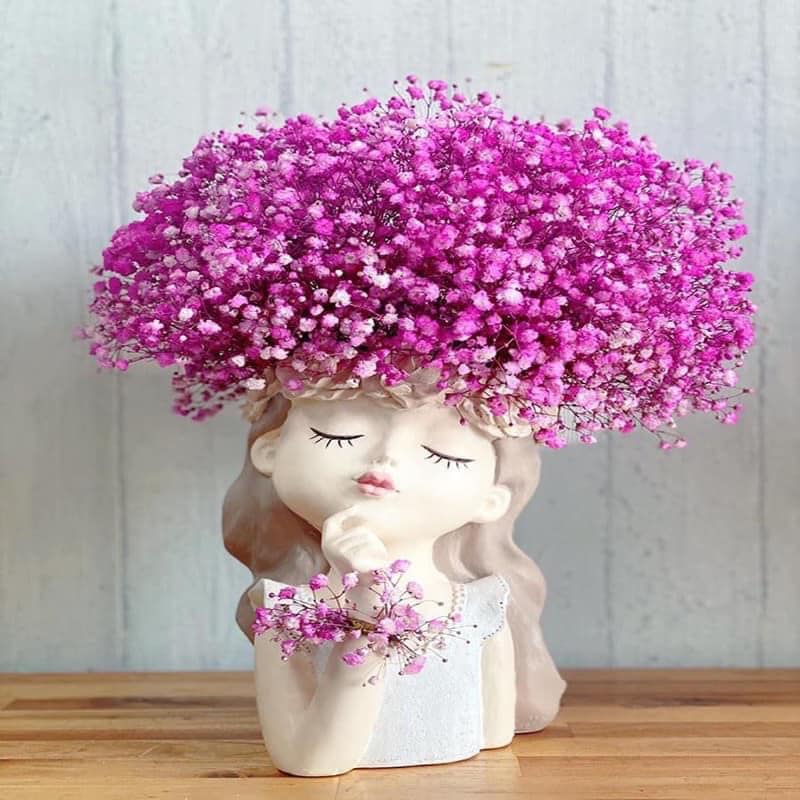 hoa khô - hoa baby - bó 10g