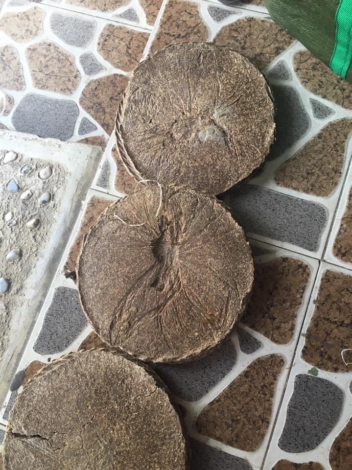 2kg - Bánh dầu đậu phộng (phân bánh dầu trồng rau sạch, rau hữu cơ)