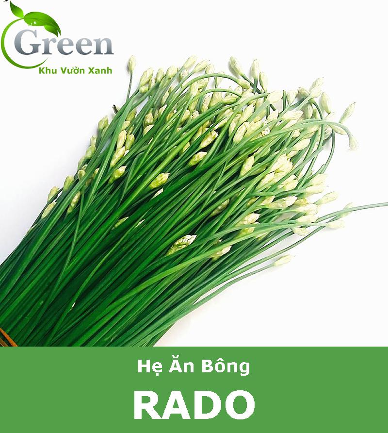 Hạt Giống Hẹ Ăn Bông Dễ Nảy Mầm, Thu Hoạch Liên Tục Kéo Dài