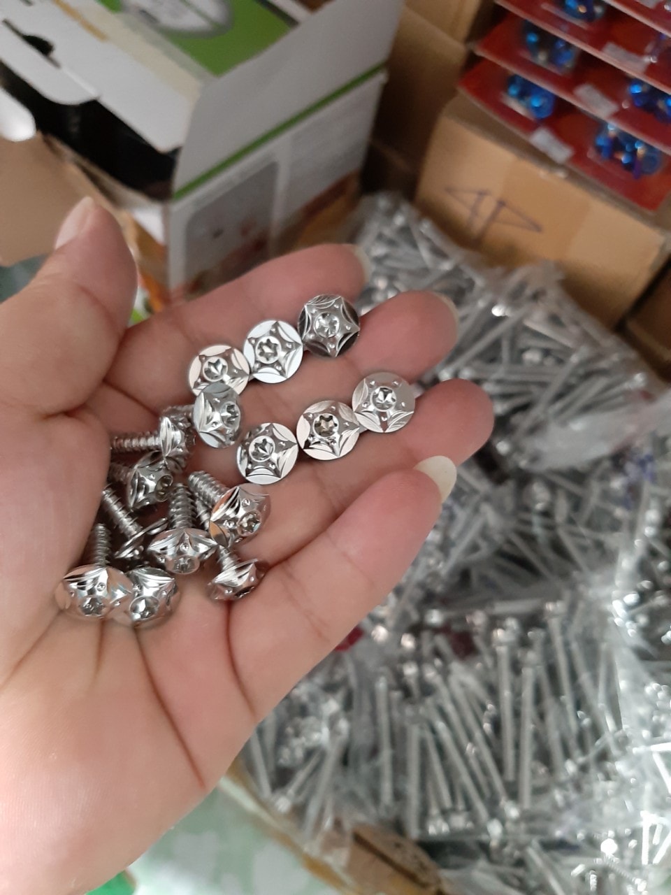 Ốc Áo Salaya Raider Xăng Cơ (31 con)