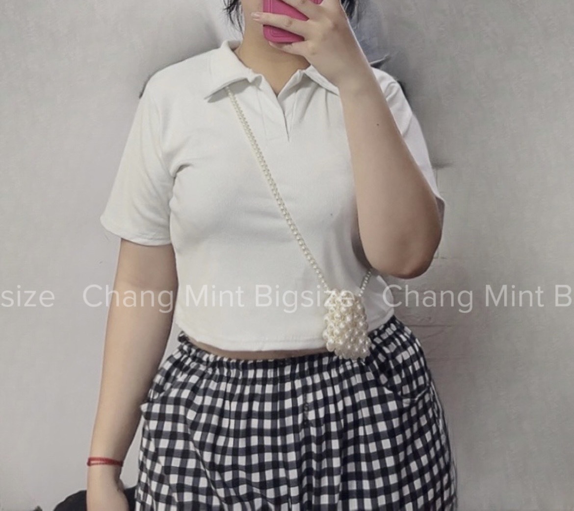 Áo Polo Croptop Bigsize 65-90kh (changmintbigsize)