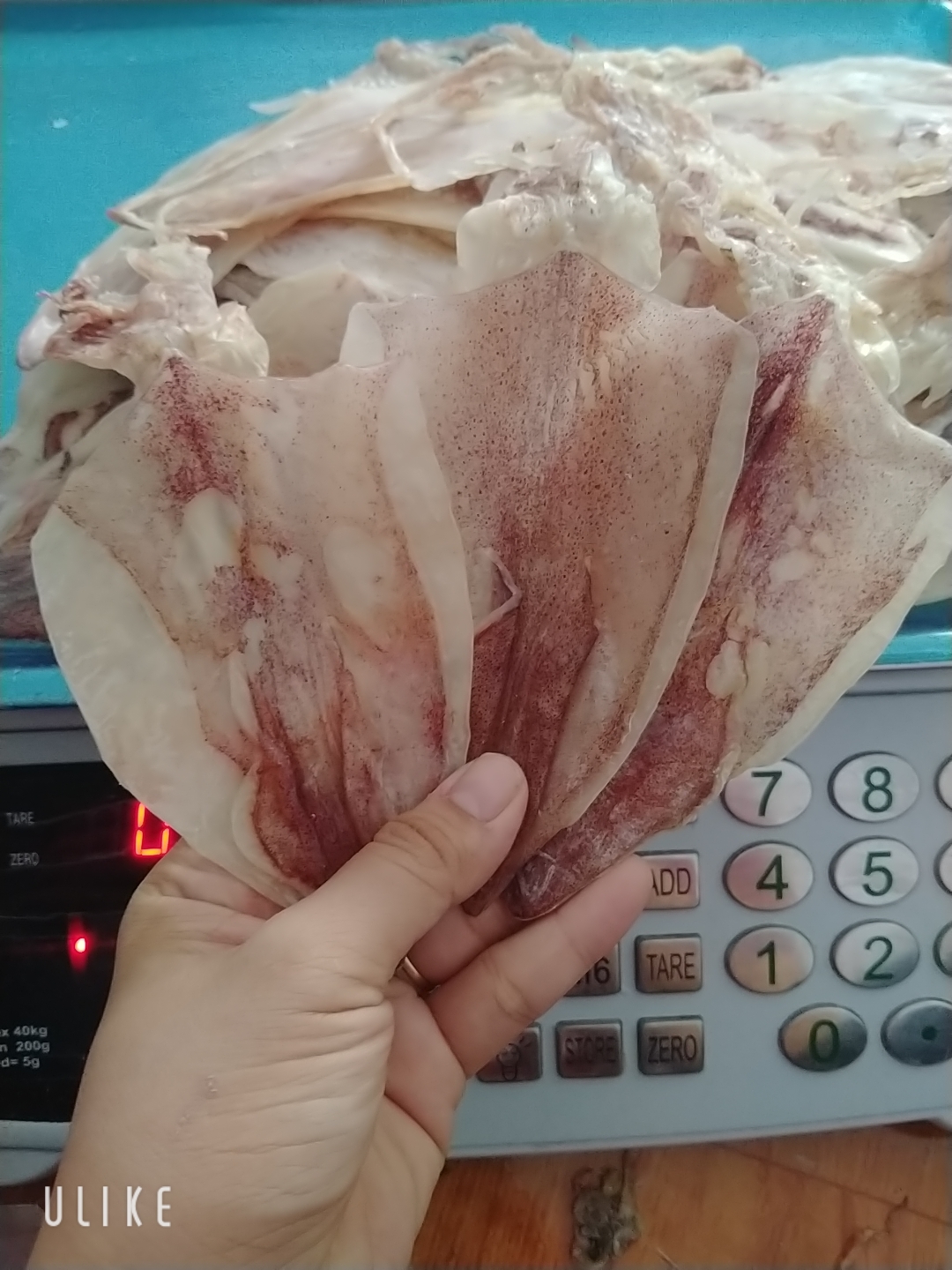 [HCM]1kg KHÔ MỰC VŨNG TÀU LOẠI (40-50C/KG)
