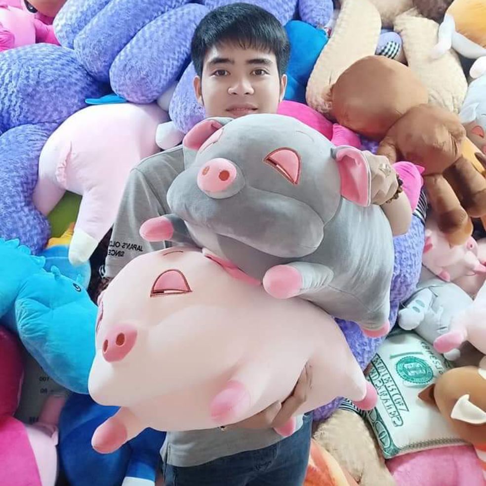 Gấu bông heo mặt phê siêu hot