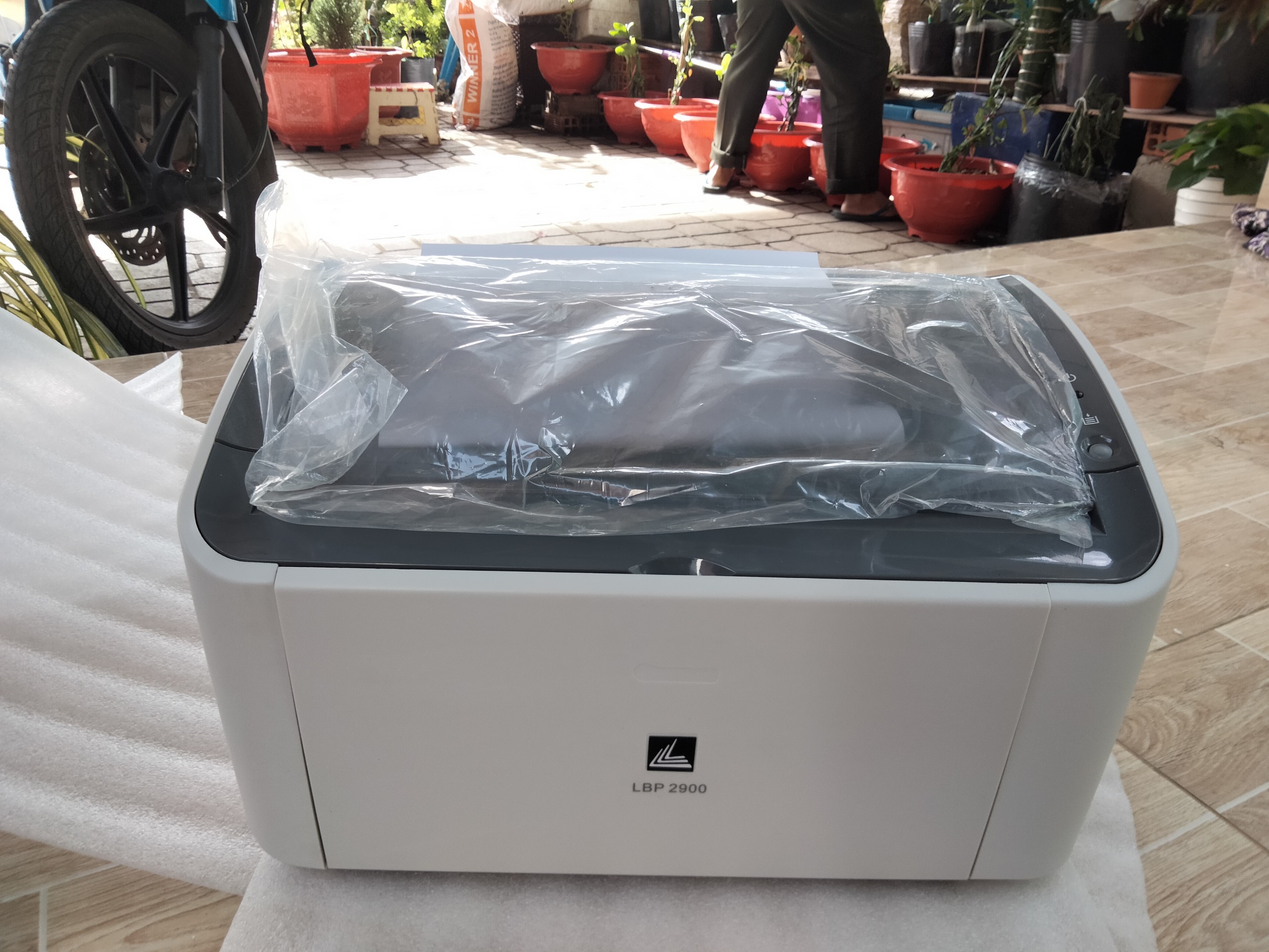 Máy in cannon 2900