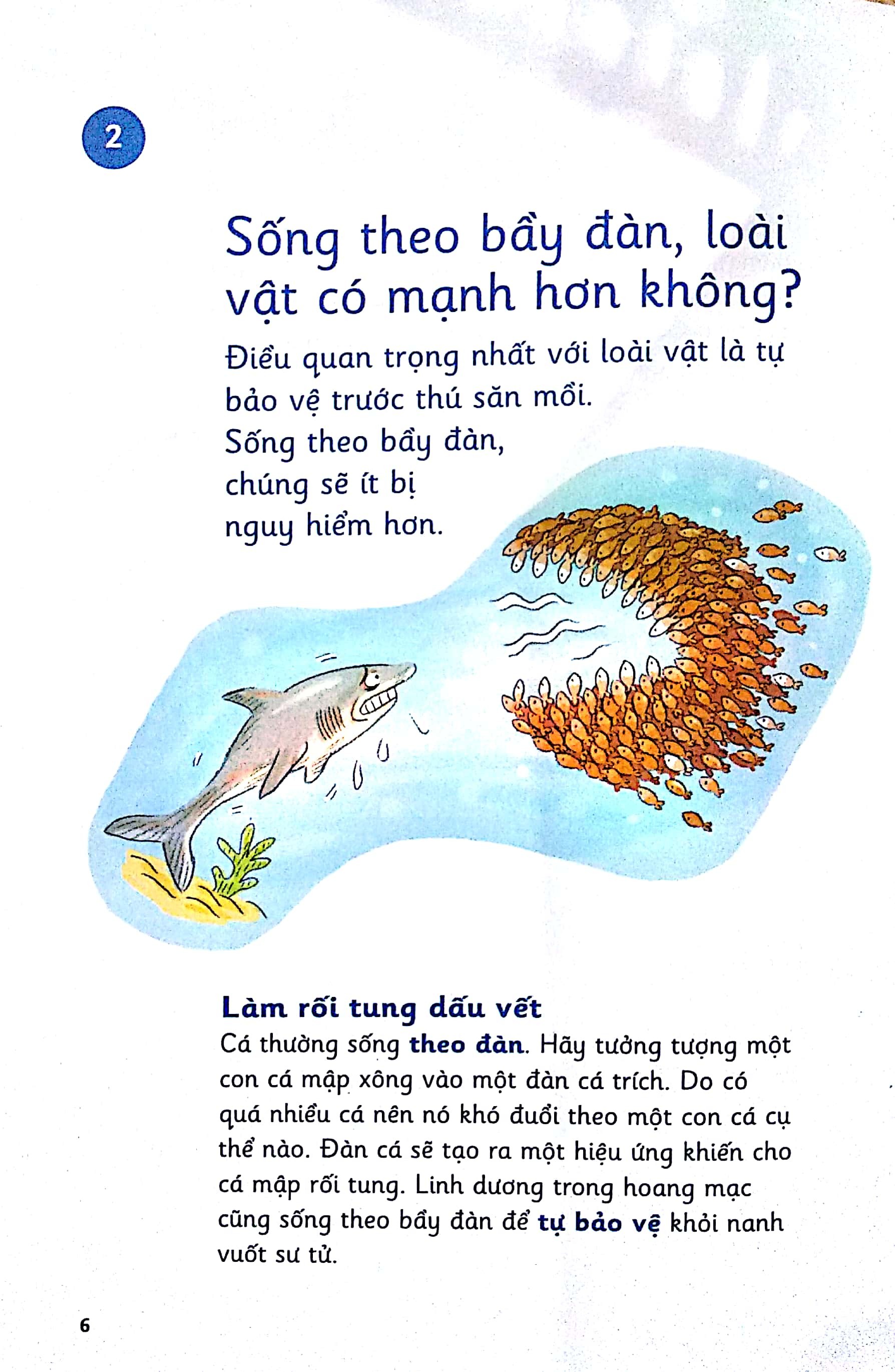Những Bước Đi Nhỏ - Loài Vật