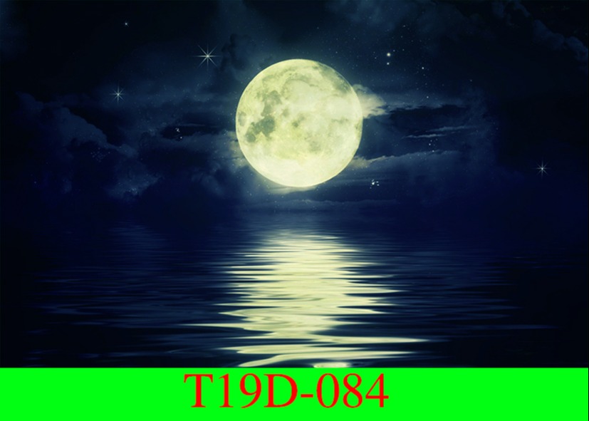 Tranh 3D dán hồ cá có keo sẵn ( Đủ kích thước ) Chống bay màu