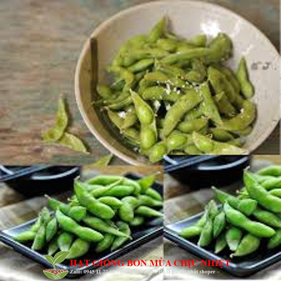 Gói 10 hạt giống đậu nành edamame ngọt đậu to - besweet