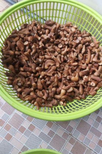 500g Ruốc nấm hương chay Organic (Chà bông nấm hương)
