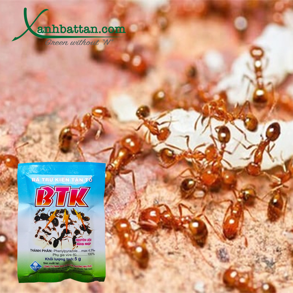 Bả Trừ Kiến Tận Ổ BTK Gói 5 gram