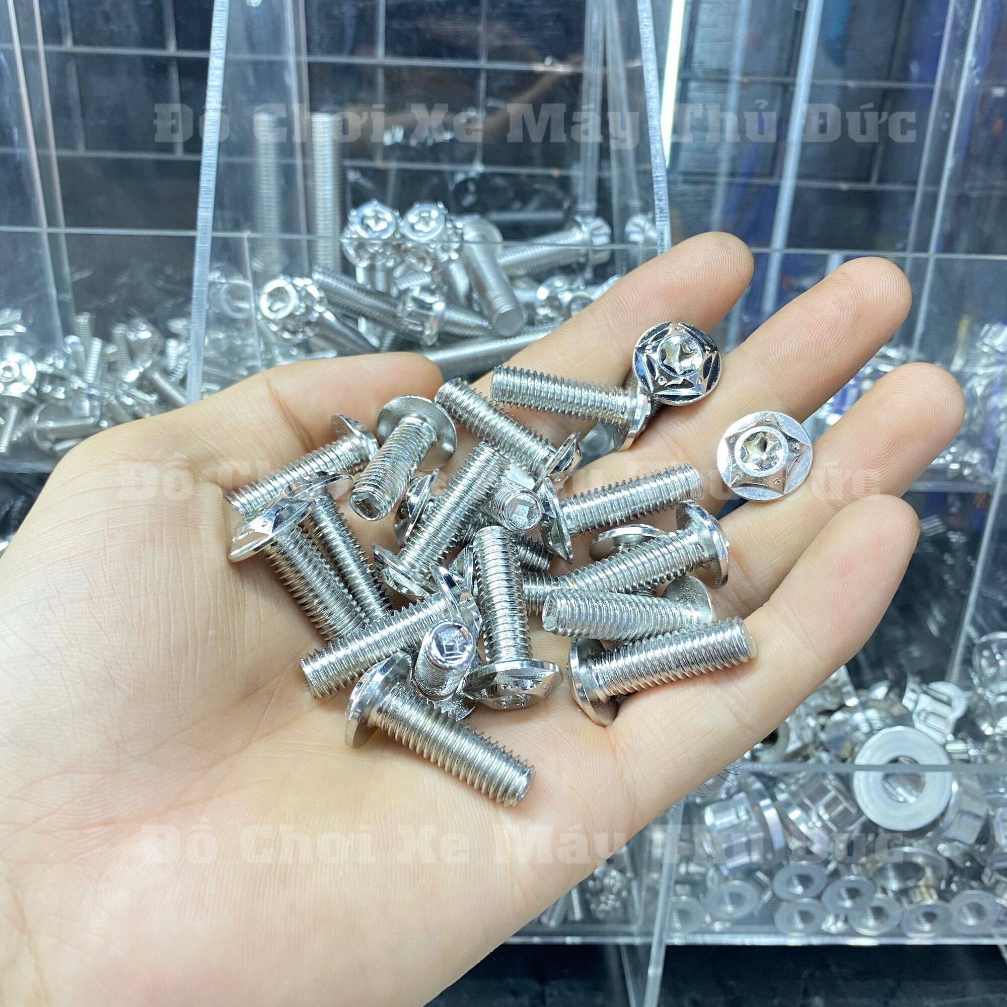 [HCM]Ốc Salaya 8li 25 Gắn Đĩa