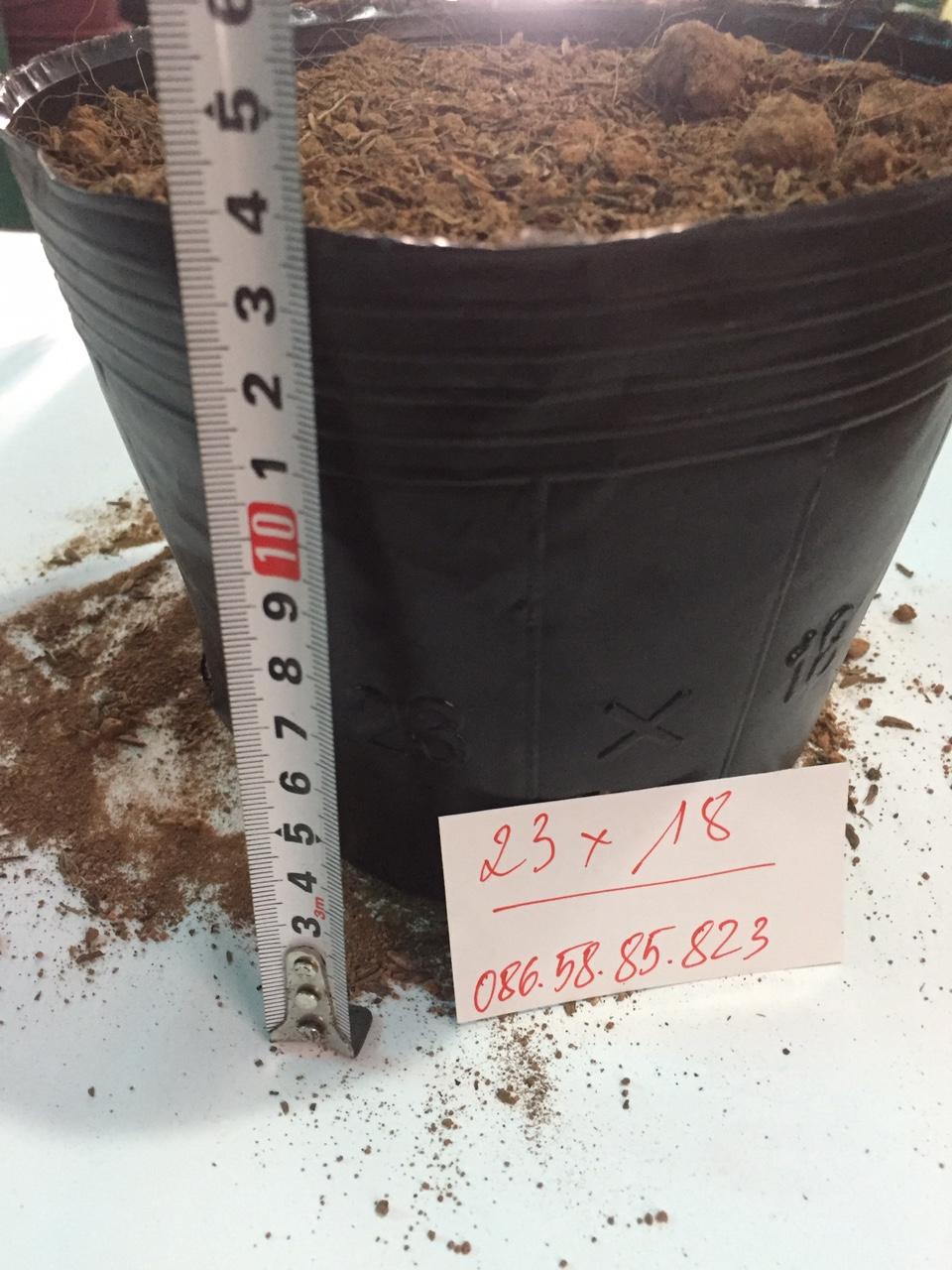 1kg túi bầu ươm cây bằng nhựa dẻo (Bịch bầu cây) Cỡ 23x18