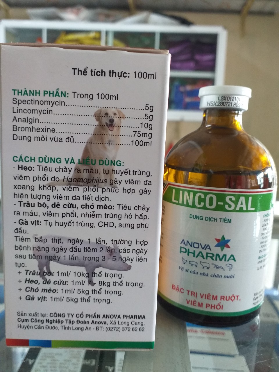 LINCO-SAL 100ml - VIÊM RUỘT, VIÊM PHỔI