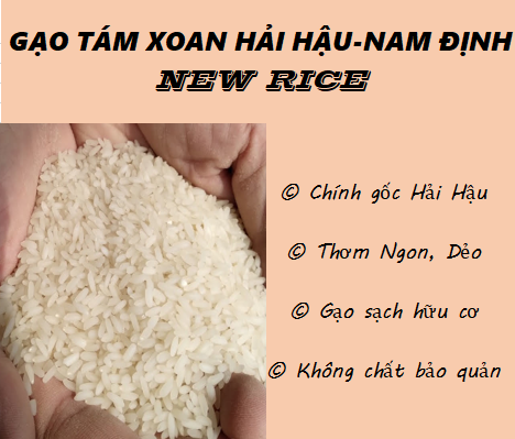 Gạo tám xoan (Đặc sản Hải Hậu Nam Định)