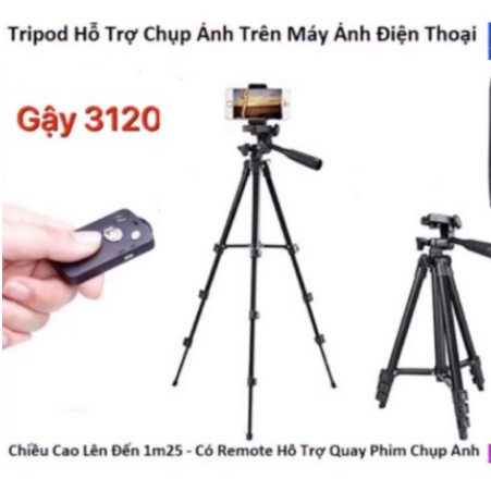 GẬY TRIPOD 3120 LOẠI XỊN