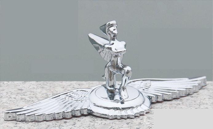 [HCM]Logo cánh chim 3D dán capo xe ô tô cao cấp