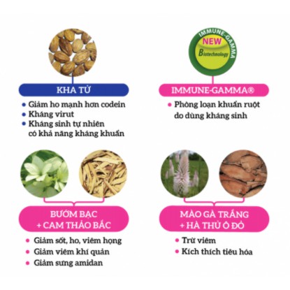 [HCM]Thực Phẩm Hỗ Trợ Hệ Hô Hấp Big BB Plus Hộp 16 Gói