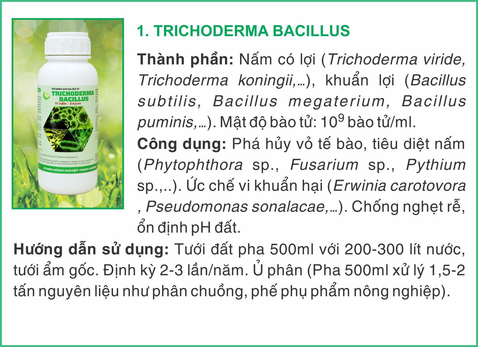 Chế phẩm sinh học TRICHODERMA - BACILLUS HLC 250ML