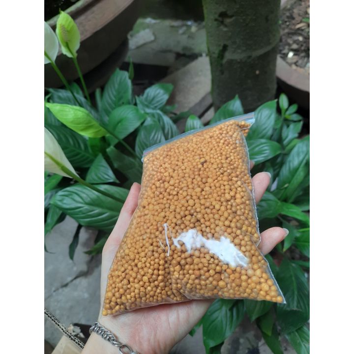100gr phân tan chậm hạt vàng Oscomote 14.14.14