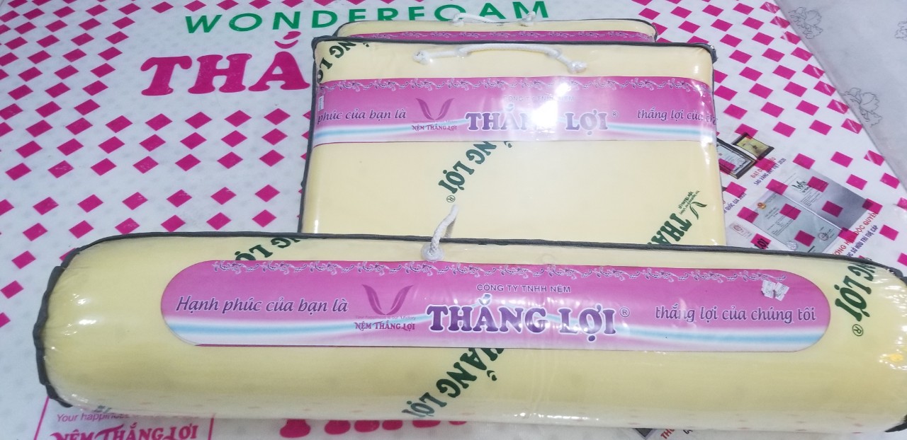 [HCM]Gối CAO SU NON THẮNG LỢI 40*60 Cao Cấp