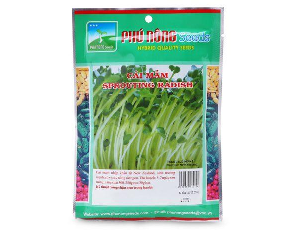 hạt giống rau cải mầm
