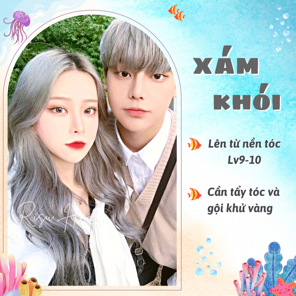 Thuốc Nhuộm Tóc Màu Xám Khói - Risu Hair.