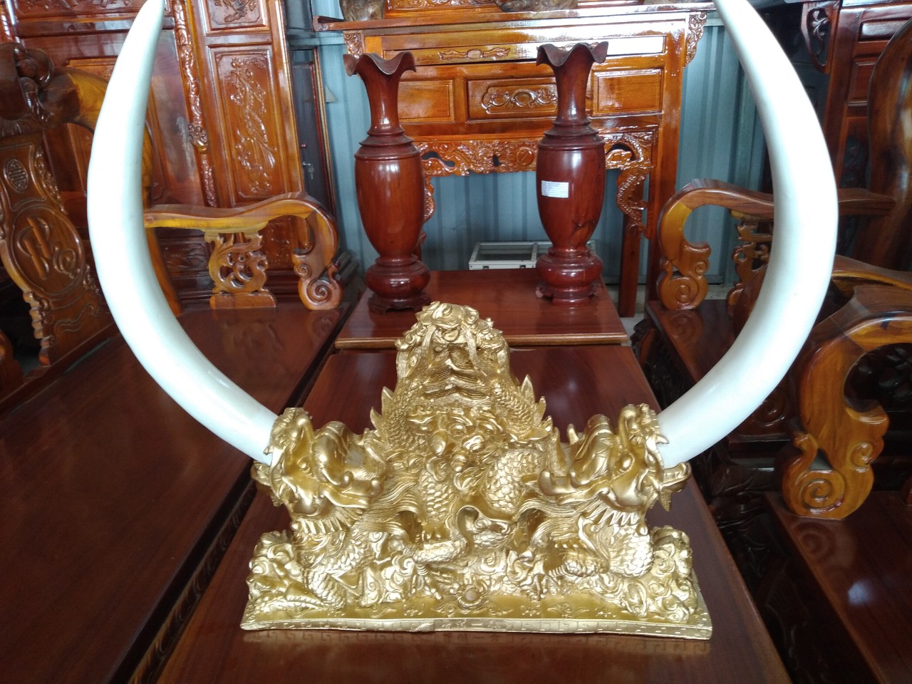 Ngà voi đôi nhân tạo - Đại