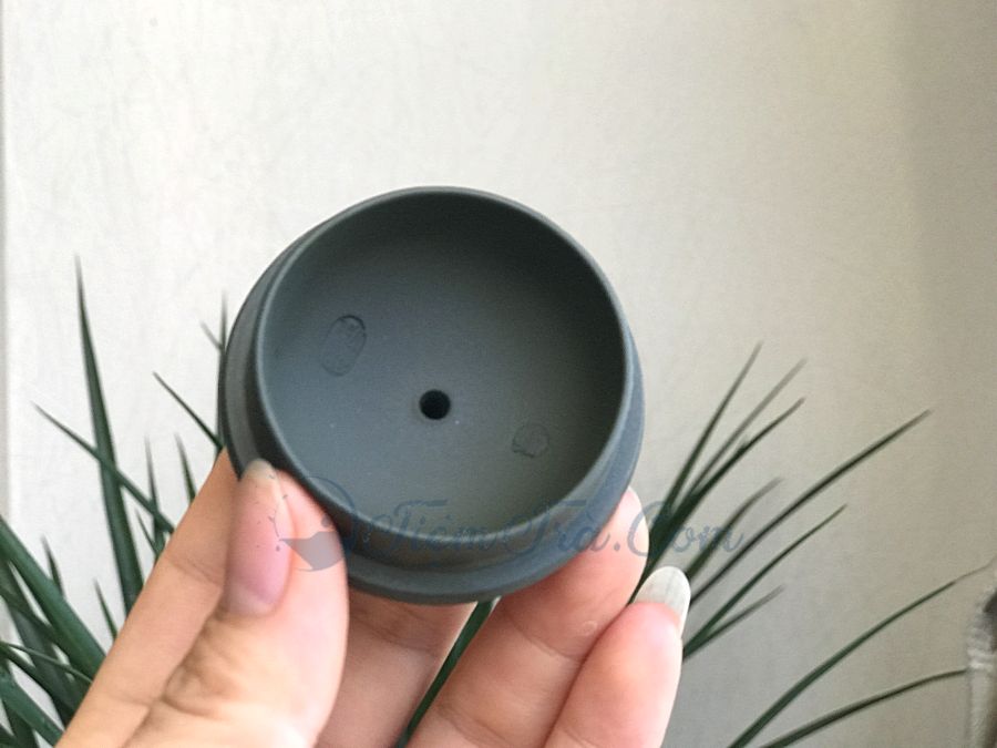Ấm Tử Sa Tây Thi Lục Sa 200ml