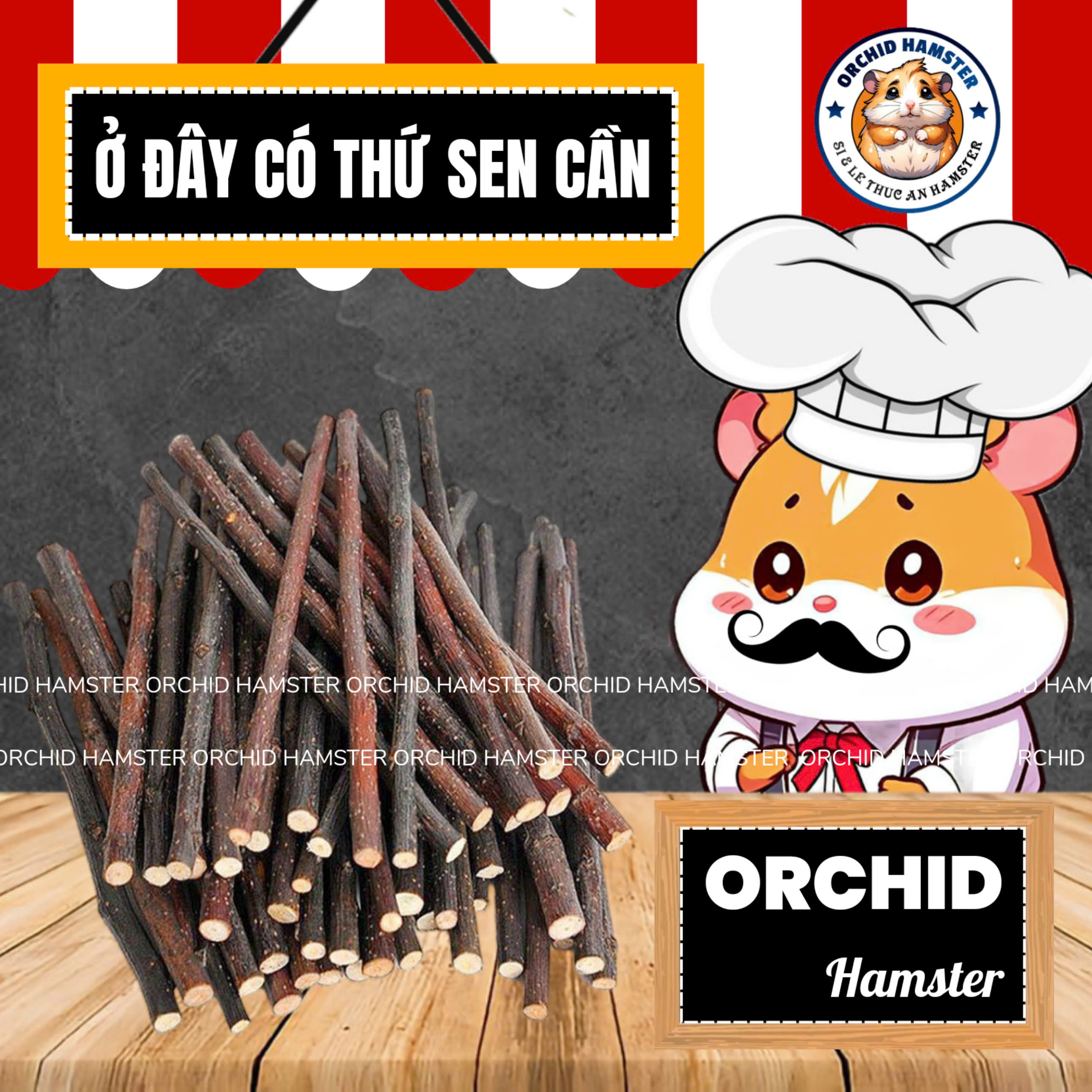 Cành Táo - Tre Ngọt Mài Răng Hamster /Sóc/Nhím Thú Nhỏ