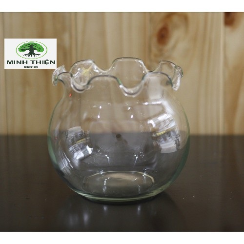 [HCM]Bể Cá Mini Thủy Tinh Hồ Cá Miệng Bèo 10cm x12cm - B3
