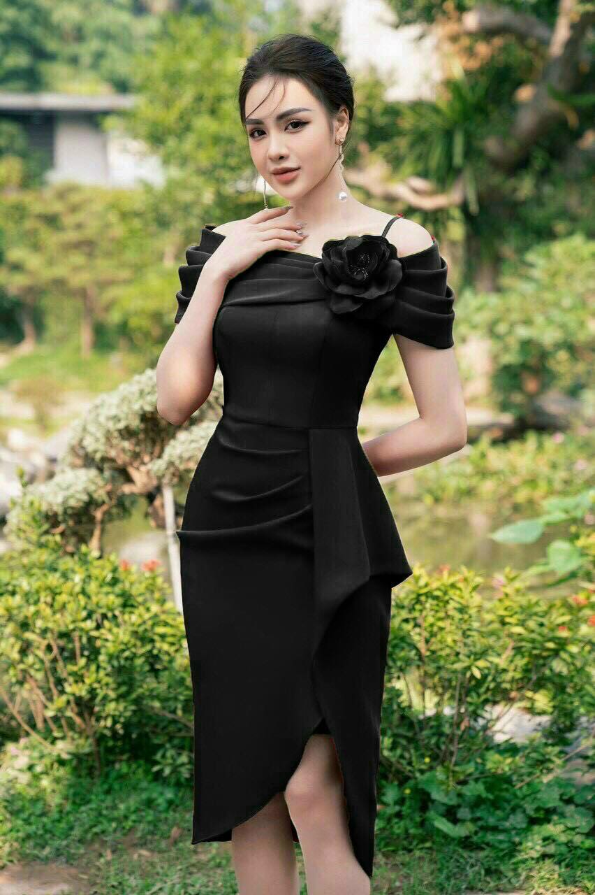 Đầm trễ vai bèo  sang trọng