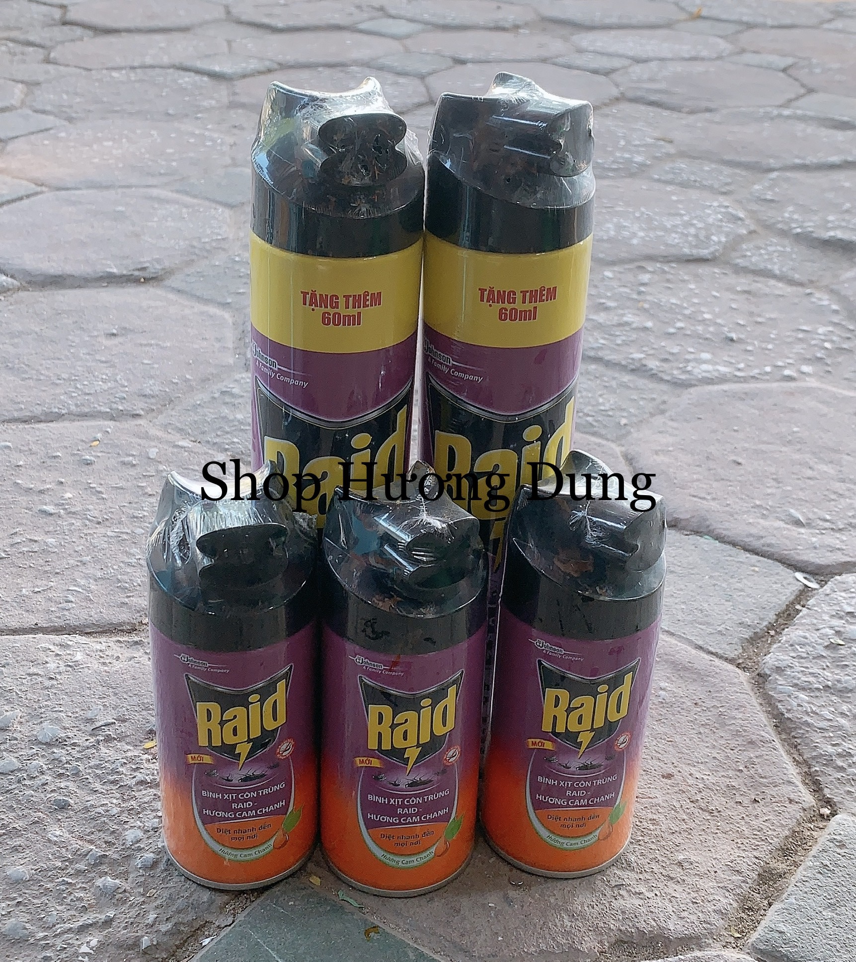 Bình xịt côn trùng muỗi gián ... Raid nhỏ 300ml